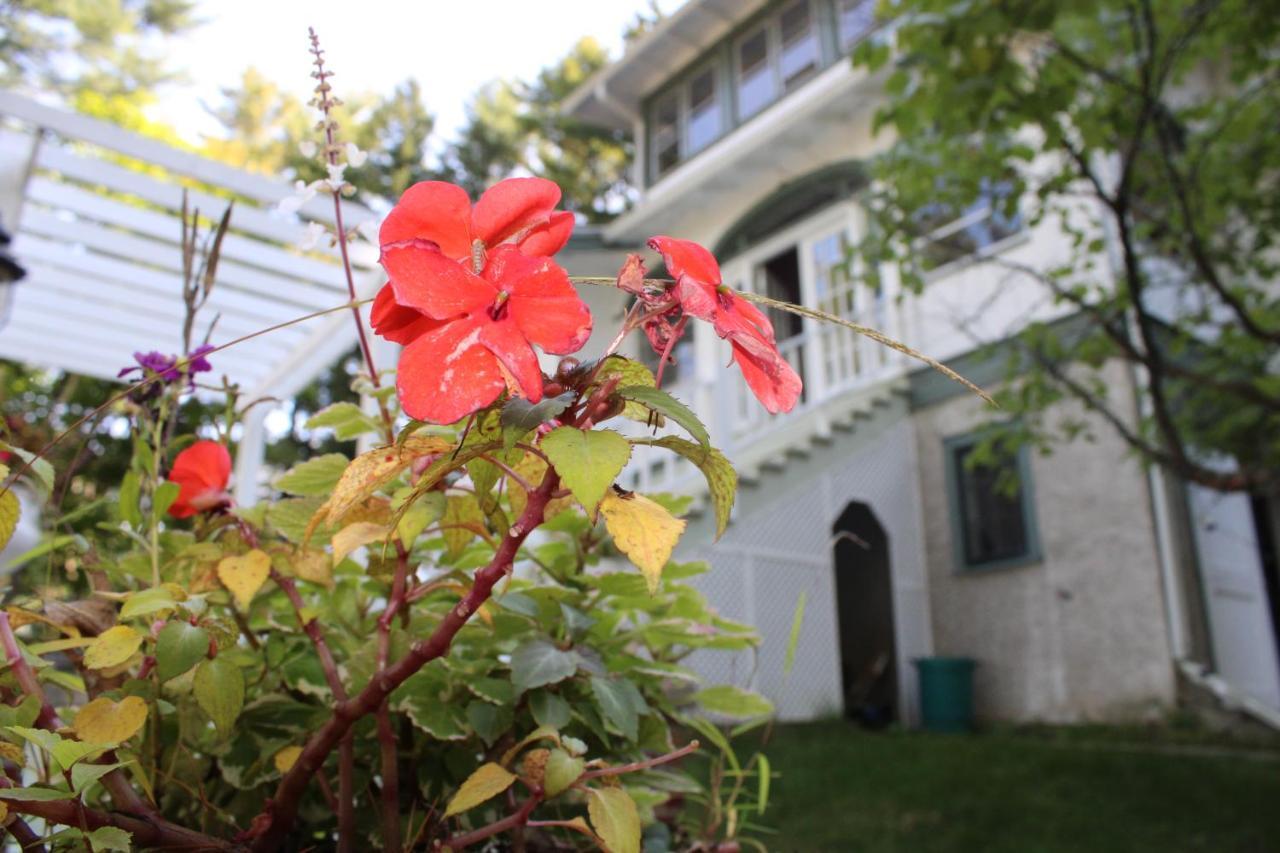 The Hillside B&B. Home W/ Breakfast Service! Wisconsin Dells Luaran gambar